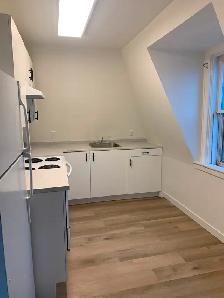 Newly Renovated 1 Bed Apartment