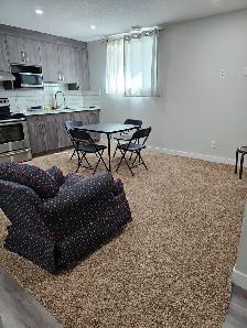 2 Bedroom Basement for Rent at Saddleridge, Calgary NE