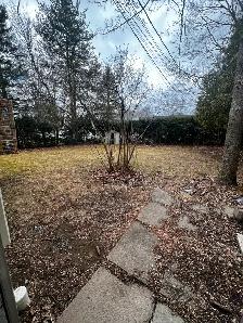 2 bedroom apartment for rent $1400 plus utilities