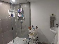 Spacious 3 Bedroom Basement Apartment for Rent!