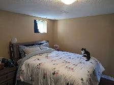 Two bedrooms basement apartment in Milton