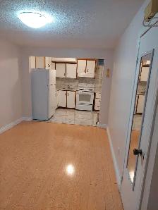 Bathurst & Steeles-1 Bedroom basement apartment
