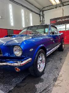 Car Detailer with Paint Correction Experience.