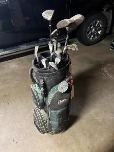 Golf clubs set of 9 irons and 4 woods with bag and 2 bag carrie.