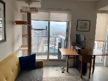 Downtown 1 Bedroom Furnished Condo for SUBLET in June