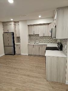 Basement for Rent in Redstone
