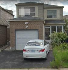 1 Bed   1 Full-Wash: BASEMENT APARTMENT' for RENT$1600
