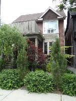 Leslieville 1 Bedroom Basement Apartment Available for Rent