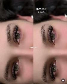 Free Lash Model Needed !