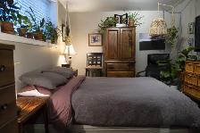 Spacious Basement Apartment For Rent