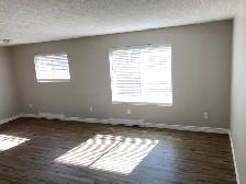 Fully Remodelled 2 Bedroom Apartment for Rent
