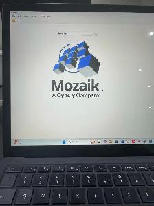 Mozaik software Training