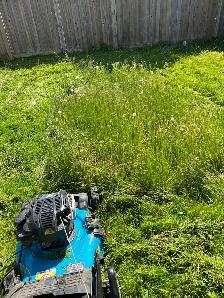 grass cutting/clean up Toronto and Durham