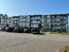 2 Bedroom apartment available May 1st