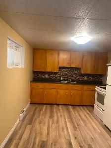 One bedroom basement apartment for rent in Burton