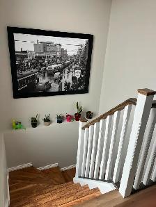 2-Bedroom Basement Apartment for Rent in St. Albert
