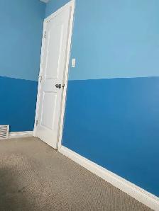 provide cleaning services