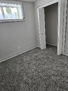 One Bedroom - Shared Basement in Glacier Ridge NW, Calgary
