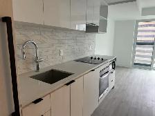 Brand New Condo for Rent - Downtown Toronto from Now to Aug 31