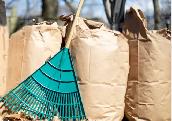 Spring Cleanup Yard Work Today (Thursday April 24)