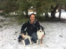 Brampton Dog and Puppy Trainer