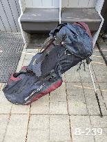 Sun Mountain SL 3.5 Carry / Stand Style Golf Clubs Bag
