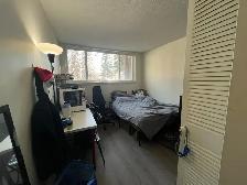 Looking for roommate to a cozy apartment room close to uofc, bus