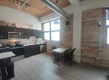 downtown 2B2B apartment for rent
