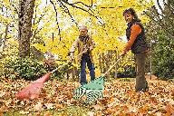Fall Cleanup – Leaf Raking & Lawn Care Services!
