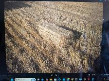 Rotary combined small square wheat straw for sale.