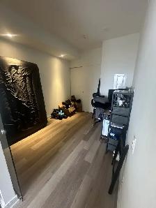Room in Luxury Condo For rent Downtown
