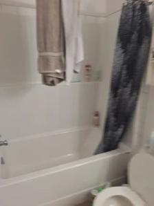 ROOM FOR RENT IN EASTON OFF MCLEOD/sprucegrove