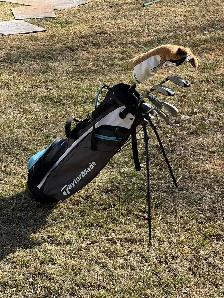 Rory TaylorMade Jr Golf clubs- right handed