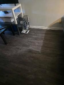 ne time only sweep and mop 1000 sq ft apartment.  Make Bed. imme