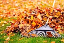 Leaf raking
