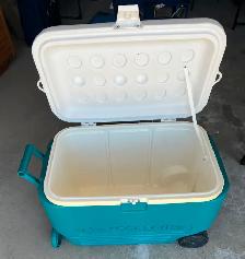 PICNIC COOLER