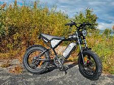 1500W Retro Electric Bike - Powerful Ebike 55km/h - Financing