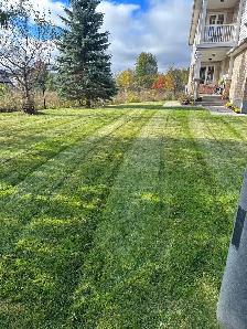 Spring Clean ups & Grass cutting