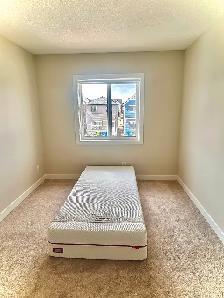 1 Room for rent in the house