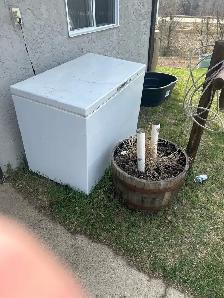 Medium sized freezer
