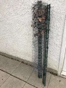 chicken wire fence