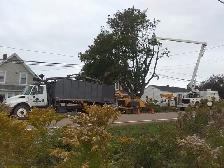 Job opportunity Tree Service