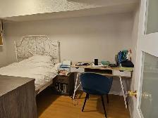 1 bed 1 1bath walkout basement available for rent