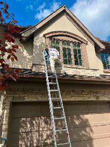 Experienced window/eaves cleaner needed