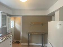 painter (looking for paint job)