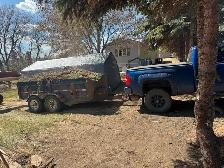 tree removal, tree trimming, and junk removal