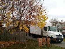 movers wanted