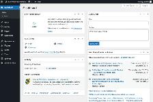 graphic designer and wordpress developer