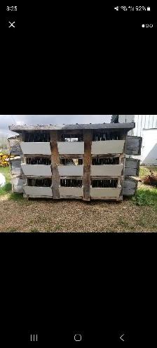 rabbit hutch