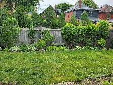 Garden Studio build -help wanted